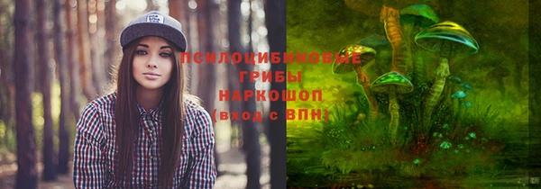 молекула духа Ростов