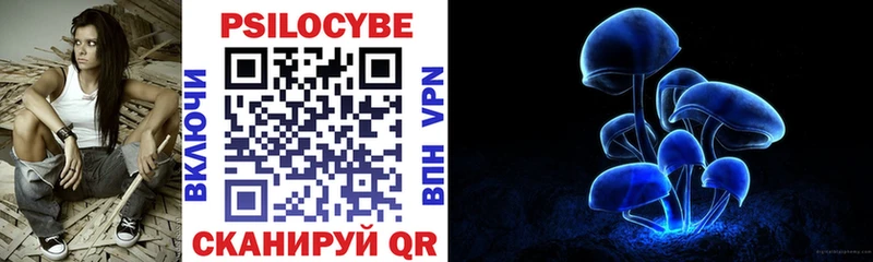 Купить где  Юхнов  Псилоцибиновые грибы Psilocybine cubensis 